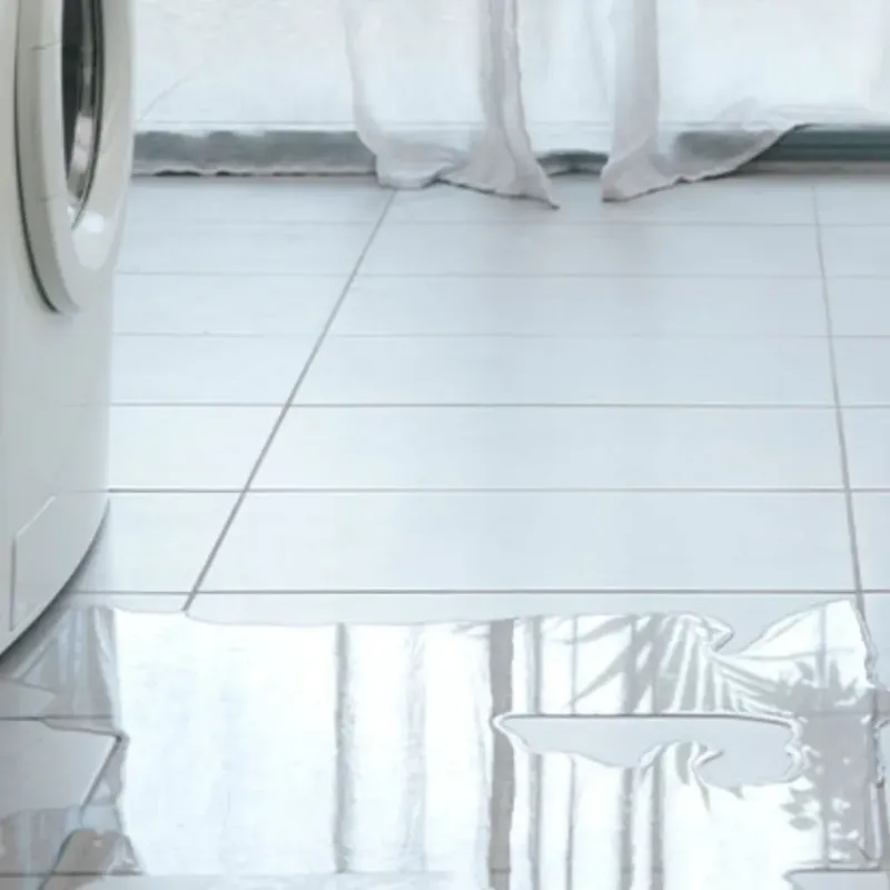 Appliance Leak Cleanup in Chesterfield, SC